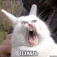  технарь