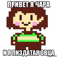 привет я чара и я пиздатая овца