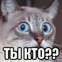  ты кто??