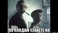  по плодам узнаете их