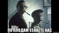  по плодам узнаете нас