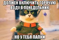 должен включить горячую воду в понедельник но у тебя лапки