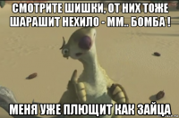 смотрите шишки, от них тоже шарашит нехило - мм.. бомба ! меня уже плющит как зайца