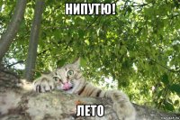нипутю! лето