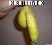 коньяк в студию 