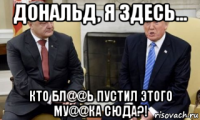 дональд, я здесь... кто бл@@ь пустил этого му@@ка сюда?!