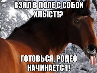 взял в поле с собой хлыст!? готовься, родео начинается!
