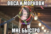 овса и моркови мне быстро
