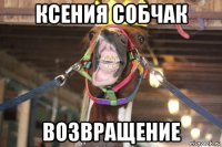 ксения собчак возвращение
