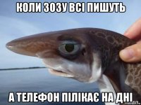 коли зозу всі пишуть а телефон пілікає на дні