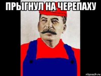 прыгнул на черепаху 