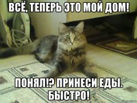 всё, теперь это мой дом! понял!? принеси еды. быстро!