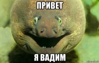 привет я вадим