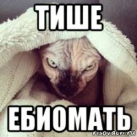 тише ебиомать