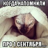 когда напомнили про 1 сентября ...