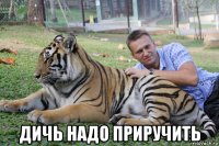  дичь надо приручить