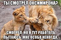 ты смотрел оксимирона? смотрел. но я тут работать пытаюсь, мне особо некогда.