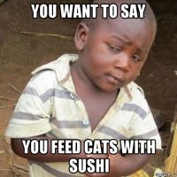 you want to say you feed cats with sushi