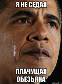 я не седая плачущая обезьяна