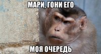 мари, гони его моя очередь