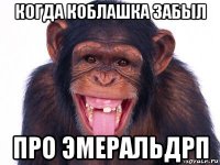 когда коблашка забыл про эмеральдрп