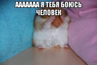 ааааааа я тебя боюсь человек 