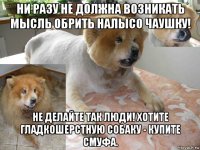 ни разу не должна возникать мысль обрить налысо чаушку! не делайте так люди! хотите гладкошерстную собаку - купите смуфа.