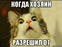 когда хозяин разрешил d7