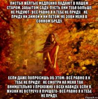 листья жёлтые медленно падают в нашем старом, забытом саду, пусть они тебя больше не радуют- всё равно я к тебе не приду. * не приду ни зимой и ни летом, не зови меня в сонном бреду. если даже попросишь об этом- всё равно я к тебе не приду! * не смотри на меня так внимательно у прохожих у всех навиду, если в жизни не встречу я лучшего- всё равно я к тебе не приду.