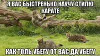 я вас быстренько научу стилю карате как толь убегу от вас,да,убегу
