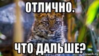 отлично. что дальше?