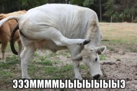  эээммммыыыыыыыэ