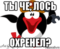ты че, лось охренел?
