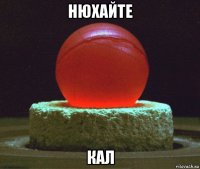 нюхайте кал