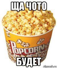 ща чото будет
