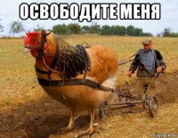 освободите меня 