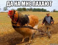 да на мне пахают 