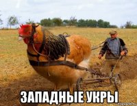  западные укры