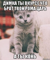димка ты вкурсе что брат твой рома царь а ты конь
