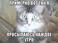 примерно вот так я просыпаюсь каждое утро