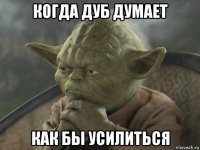 когда дуб думает как бы усилиться