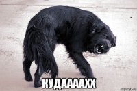  кудаааахх