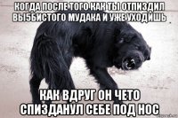 когда после того как ты отпиздил вы5бистого мудака и уже уходишь как вдруг он чето спизданул себе под нос