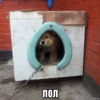  лол