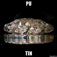 pu tin