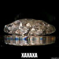  xaxaxa