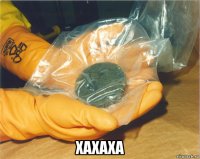  xaxaxa