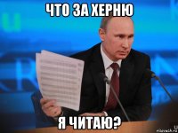 что за херню я читаю?