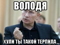 володя хули ты такой терпила