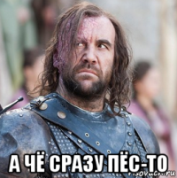  а чё сразу пёс-то